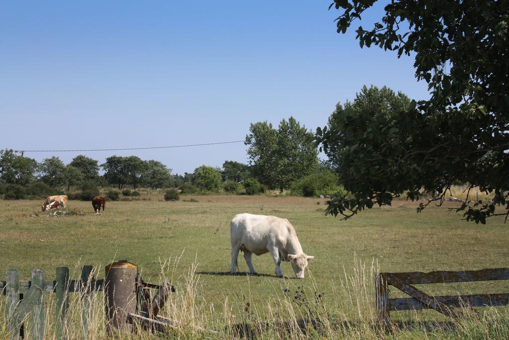 Gula Honan Guest House Ronehamn Zewnętrze zdjęcie